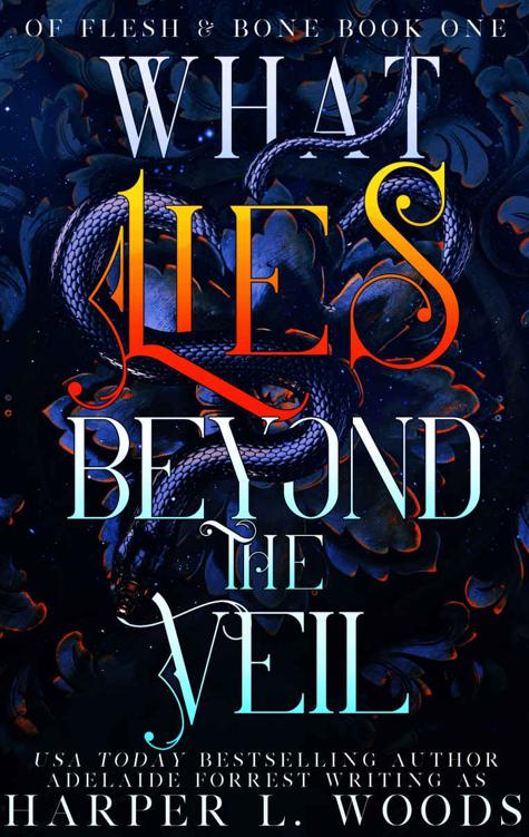 What Lies Beyond the Veil (Of Flesh & Bone Series)